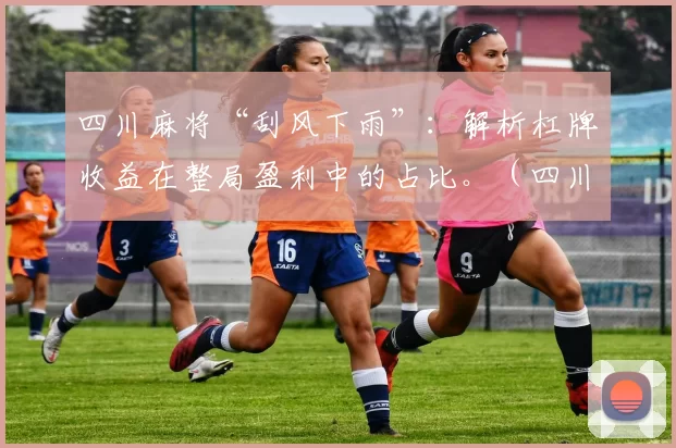 四川麻将“刮风下雨”：解析杠牌收益在整局盈利中的占比。（四川麻将刮风下雨：杠牌收益对整局盈利的贡献度解析）