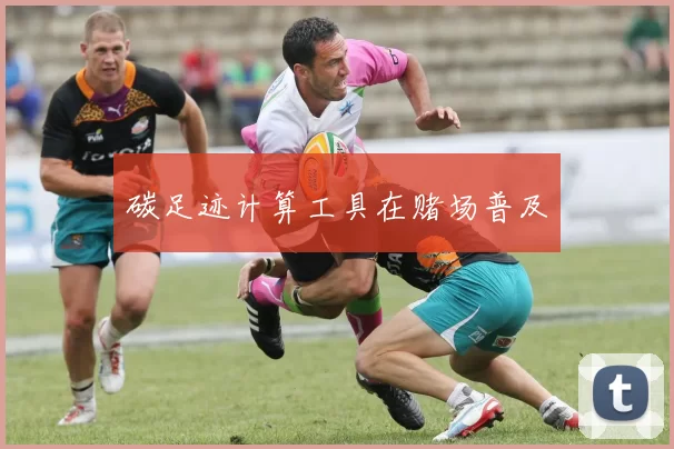 碳足迹计算工具在赌场普及