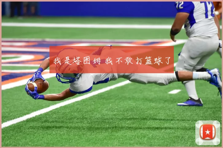 我是塔图姆 我不敢打篮球了