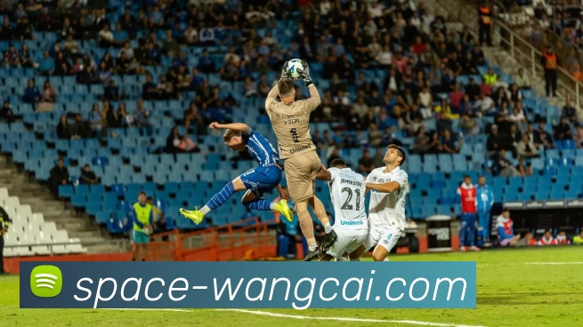 旺财28APP 体育赛事宣传图